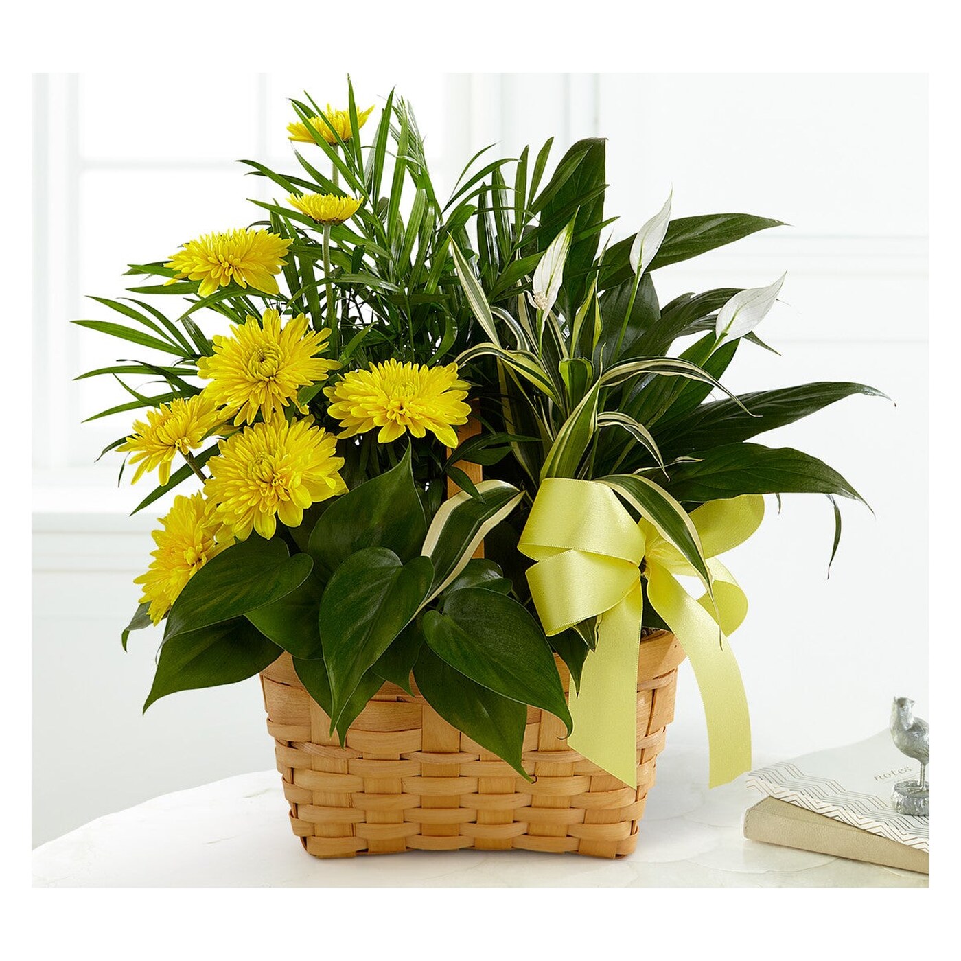 Loving Light Dishgarden flower arrangement