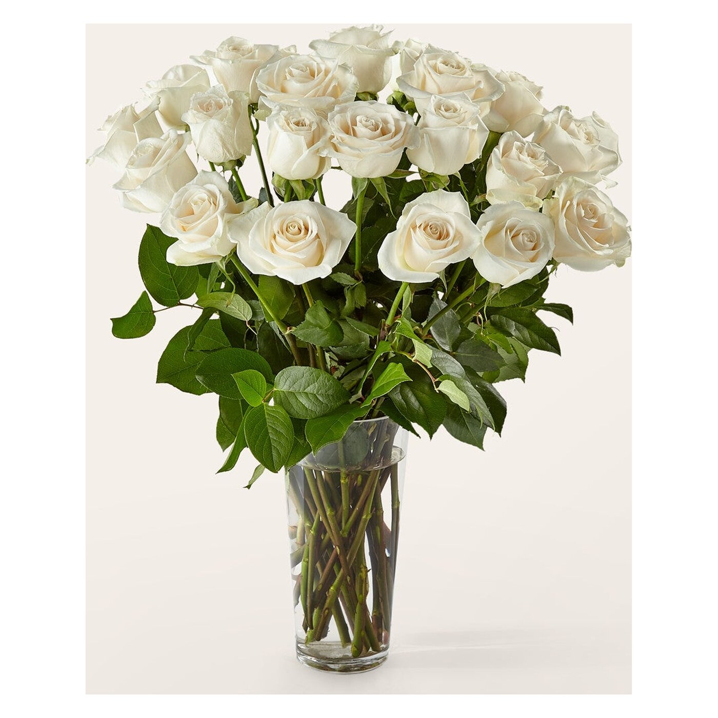 Long Stem White Rose Bouquet arrangement option 2