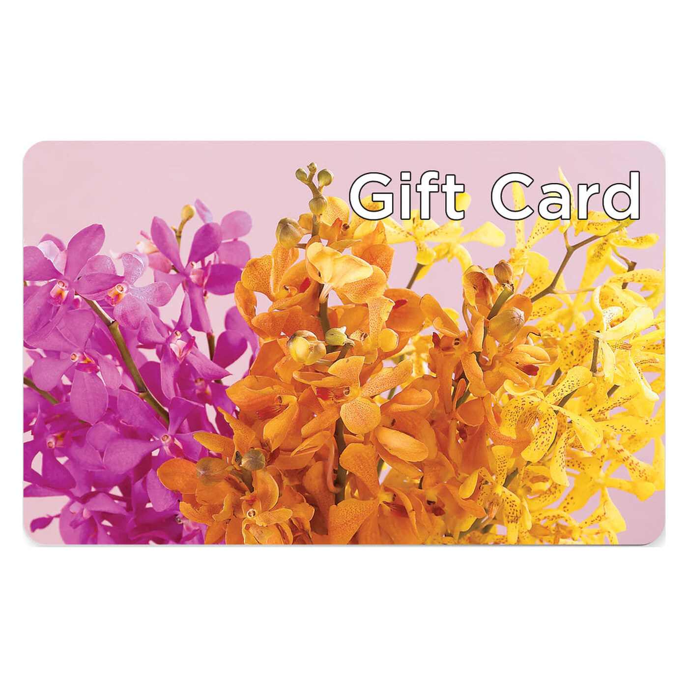 Gift Card arrangement option 3