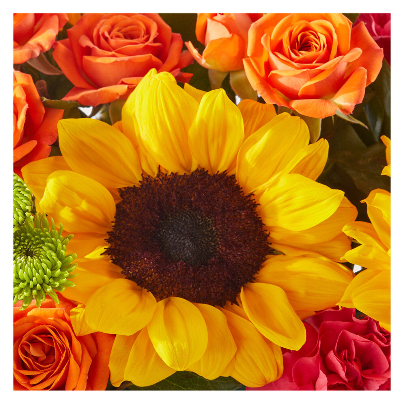 Sun-drenched Blooms Box Bouquet arrangement option 3