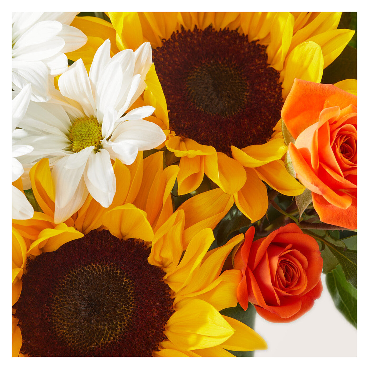 Sun-drenched Blooms Box Bouquet arrangement option 4